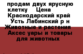 продам двух ярусную клетку  › Цена ­ 3 000 - Краснодарский край, Усть-Лабинский р-н Животные и растения » Аксесcуары и товары для животных   